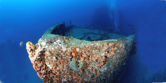Dive With South Florida Diving Headquarters